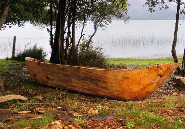 036ADILleu-Lleu©2009MarceloVildosola