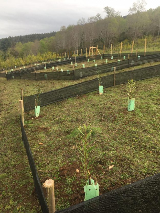 WhatsApp Image 2019-08-27 at 16.32.35 (2)