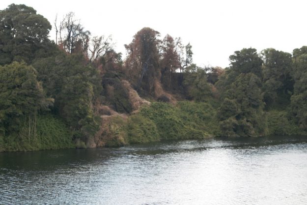 WhatsApp Image 2019-09-03 at 14.28.19