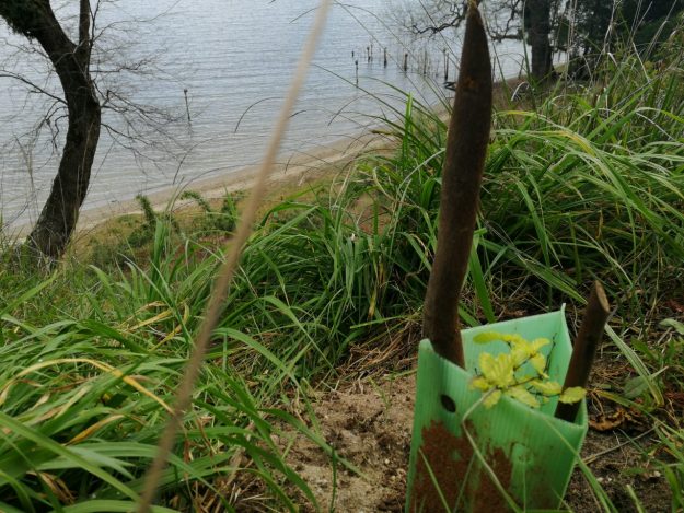 WhatsApp Image 2019-09-05 at 12.26.05 (1)